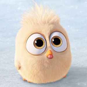 Meet your Posher, Amory